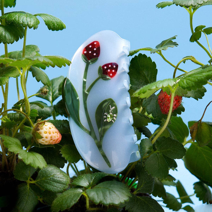 Forest Strawberry Jewel Beetle Claw
