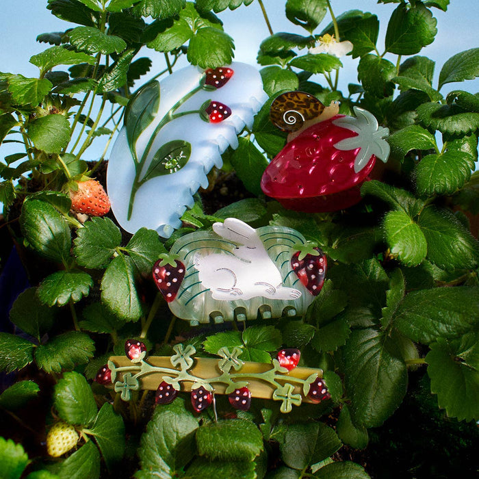 Forest Strawberry Jewel Beetle Claw