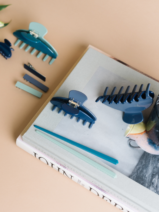 Hair Chopsticks Pins |Set of 2 | Robin Blue